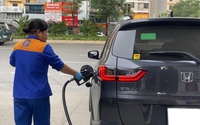 Giá xăng dầu hôm nay 29/11: Bất ngờ tăng trở lại