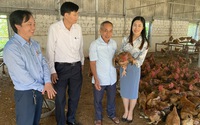 Hải Phòng: Tổng kết chương trình phối hợp hỗ trợ nông dân phát triển nuôi gia cầm năm 2023