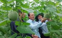 Hướng tới Đại hội VIII Hội Nông dân Việt Nam: Đột phá từ Quỹ Hỗ trợ nông dân, 5 năm tăng 1.761 tỷ (Bài 1)