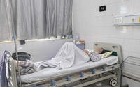 Ngỡ ăn mật cá trắm ví như "thần dược" tốt cho sức khoẻ, hai người ngộ độc đến suy tạng 