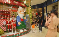 Người Sài thành rủ nhau “lên đồ” check in Noel sớm  
