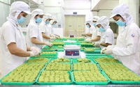 EU gỡ bỏ tần suất kiểm soát một số mặt hàng rau gia vị của Việt Nam