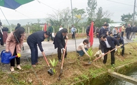 Hội Nông dân TP Đà Nẵng tổ chức Lễ phát động “Tết trồng cây đời đời nhớ ơn Bác Hồ”