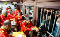 Ảnh ấn tượng tuần: Chen lấn mua ấn đền Trần và du khách đổ về Hội An dự Tết Nguyên tiêu