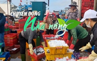 Chuyển động Nhà nông 6/2: Cảng cá Cửa Việt tấp nập những ngày đầu năm