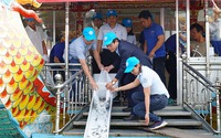 Thừa Thiên Huế thả hơn 207.000 con cá chép, lóc, rô đồng, trắm, mè xuống sông Hương