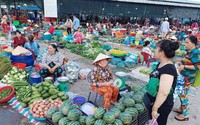 Đến chơi miệt Ngàn
