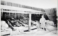 8 thí nghiệm ghê rợn nhất trong lịch sử