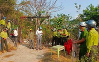 Cưỡng chế thu hồi đất bị lấn chiếm tại Vườn Quốc gia Núi Chúa ở Ninh Thuận