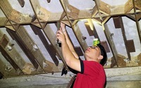 Đàn "chim tiền tỷ" ở tỉnh Phú Yên mỗi năm "nhả" ra 2 tấn tổ yến, thứ thực phẩm tốt nhất thế giới
