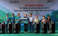 Chương trình “1 triệu cây xanh”:  BIDV trồng 2.500 cây xanh tại Lai Châu