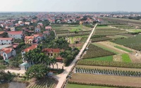 Nguyên nhân khiến nhiều phiên đấu giá đất tổ chức không thành công?