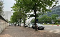 Con đường xứ Hàn đẹp đến nao lòng ngay giữa Thủ đô