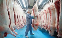 Lào ra thông báo ngừng nhập khẩu thịt lợn từ Việt Nam, tiêu thụ trong nước không bị ảnh hưởng