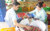 Giải cơn khát vốn của doanh nghiệp - Bài 2: Vì sao ngân hàng ngại cho doanh nghiệp nhỏ và vừa vay?