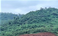 Phát hiện thi thể Phó chủ tịch HĐND xã trên núi