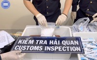 Việc trả tự do cho 4 tiếp viên xách ma túy từ Pháp về Việt Nam, liệu có tạo tiền lệ xấu?