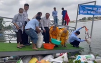 Video: Thả 320.000 con giống cá tôm xuống con sông nội địa dài nhất Việt Nam