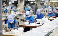 Nóng: Tiến hành tổng điều tra doanh nghiệp năm 2023