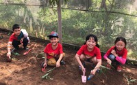 Tranh cãi giáo viên nhận "hoa hồng" cho học sinh đi dã ngoại: Ý kiến phụ huynh và nhà trường