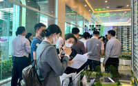 Nhiều dự án chung cư tại TP.HCM chào bán, cơ hội cho người có nhu cầu mua ở thực