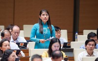 Đại biểu Quốc hội: “Nhiều người ăn còn không đủ, làm gì chú ý phòng bệnh”