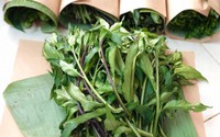 Một loại rau rừng không cần trồng mà vẫn mọc tua tủa được ví là liều thuốc cực quý đối với sức khỏe