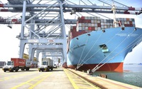 Maersk Việt Nam xin thí điểm dịch vụ vận tải xanh