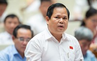 Hầu hết doanh nghiệp tư nhân đều thua lỗ khi đầu tư sân bay cỡ nhỏ và vừa