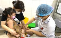 ĐBQH Phạm Khánh Phong Lan hỏi Bộ Y tế bao giờ có vaccine tiêm chủng, lo trẻ em phải trả giá vì sự đùn đẩy