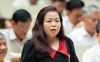 Đại biểu Vũ Thị Lưu Mai: "Chúng ta đang ở đâu trên bản đồ thu nhập thế giới?"