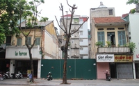 Hiểm họa từ những cây chết khô trên phố Hà Nội