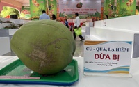 Trái dừa 6kg, bí đao khổng lồ gây sốt lễ hội trái cây ở TP.HCM