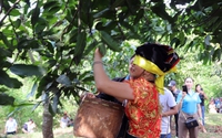 Ngày hội xoài Yên Châu ở Sơn La: Trò chơi "Bịt mắt bắt xoài" của các cô gái Thái vui ơi là vui