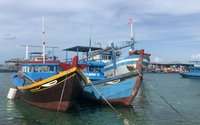 Cứu được 5 ngư dân trên tàu cá bị phá nước trôi trên vùng biển Phú Quý