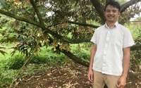 Một nông dân Lâm Đồng trồng sầu riêng hướng hữu cơ kiểu gì mà sắp tới bán 100 tấn?