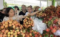 Sầu riêng, măng cụt, vải thiều giá siêu rẻ tại Lễ hội Trái cây Nam Bộ, khách mua cả chục kg ôm không nổi