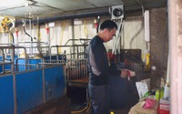 Lao động được vay tối đa 100 triệu đồng để ký quỹ đi làm việc Hàn Quốc