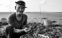 Thủy triều rút, ra bãi cạn này ở Cà Mau xem nông dân cào bắt con đặc sản bình dân, ăn bổ dưỡng