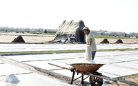 Rõ là được mùa nhưng diêm dân ở cánh đồng muối Bạch Long lại vẫn không vui, nguyên nhân là do đâu?