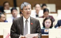 Lo mất giá, đại biểu Nguyễn Anh Trí gợi ý đặt tên "hoa Lan, hoa Ban, hoa Hồng..." cho nhà ở xã hội