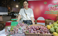 “Mận ngon nhất trong các loại mận” giá 130.000 đồng/kg vẫn hút hàng
