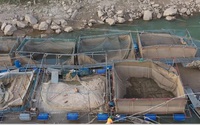 Phú Thọ: Mực nước sông Đà giảm kỷ lục, nông dân oằn mình bơm nước, ô xy cứu cá lồng
