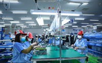 Giải pháp ngăn "sóng" rút bảo hiểm xã hội một lần