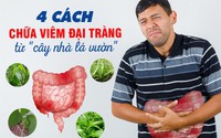 4 cách đơn giản chữa viêm đại tràng từ "cây nhà lá vườn"