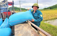 Một ông Giám đốc nhờ trồng lúa, nuôi cá ở Đắk Lắk được bình chọn là Nông dân Việt Nam xuất sắc