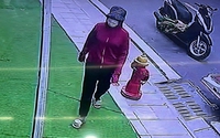 Vụ bắt cóc trẻ em ở Gia Lâm (Hà Nội): Nghi phạm có thể bị xử lý thế nào?