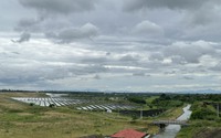 Loạt trang trại "núp bóng" nuôi trồng để sản xuất điện mặt trời 