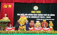Ông Nguyễn Hữu Thiết tái đắc cử Chủ tịch Hội Nông dân TP.Đà Nẵng khoá IX, nhiệm kỳ 2023 – 2028