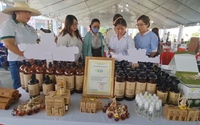 Hàng trăm sản phẩm OCOP “tụ họp” tại ngày hội khởi nghiệp ở Quảng Nam